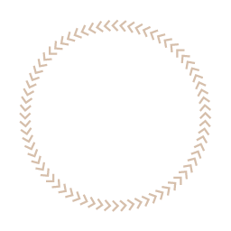 20+ Yrs of Experience